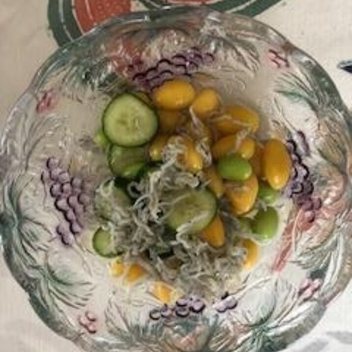 ちりめん 枝豆 胡瓜 銀杏